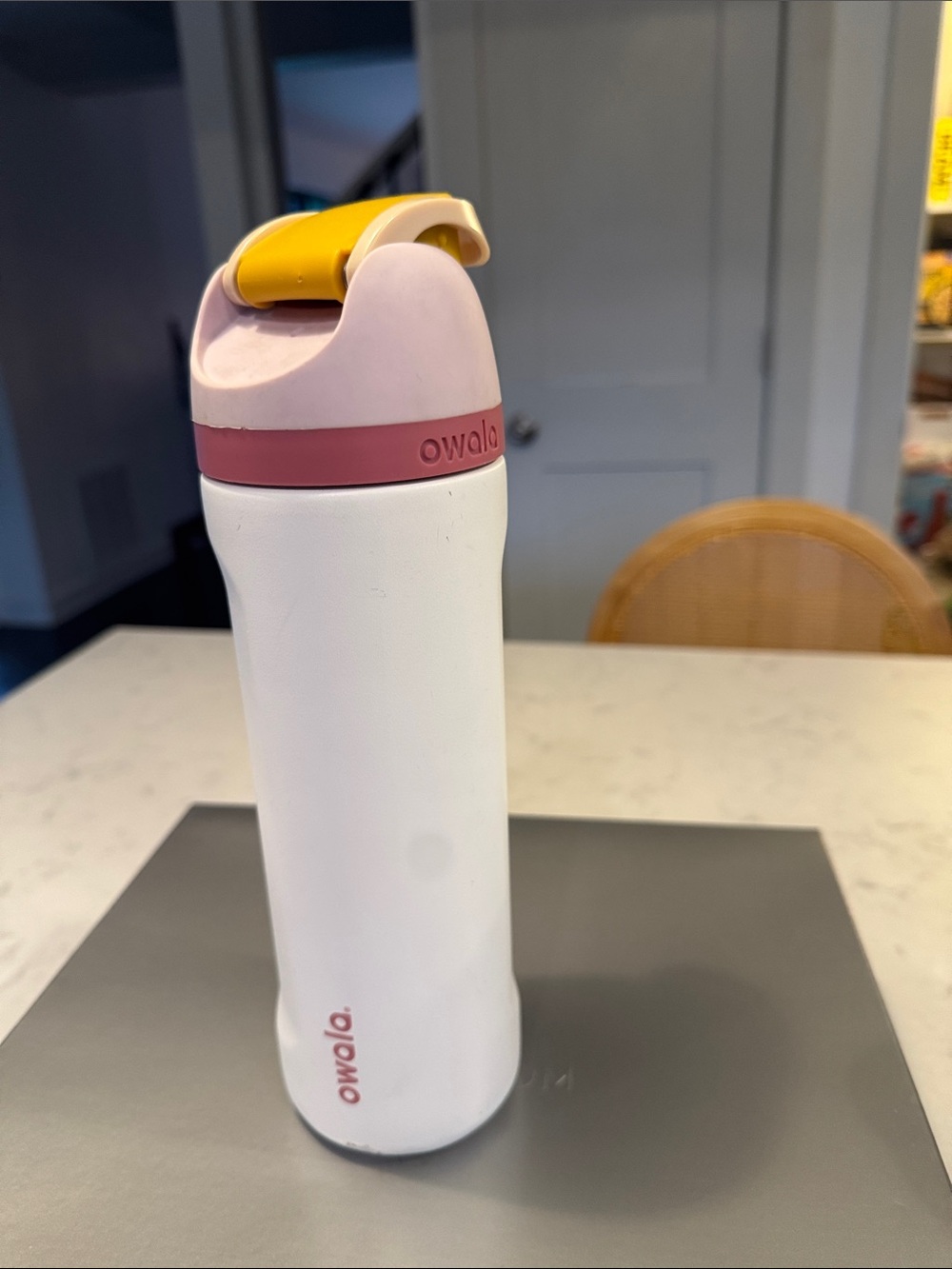 Owala water bottle 24 oz